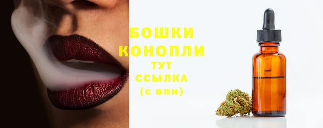 ECSTASY Богородицк