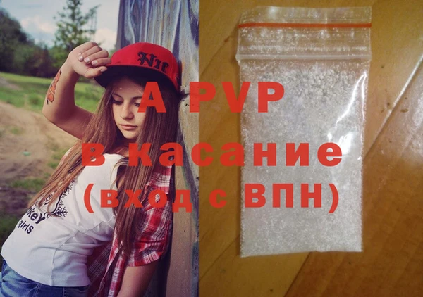 ECSTASY Богородицк