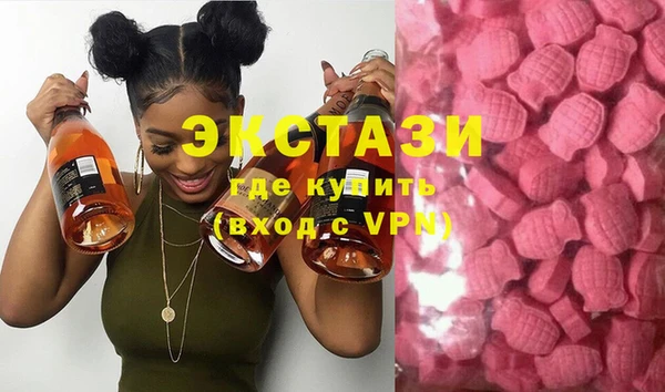 ECSTASY Богородицк