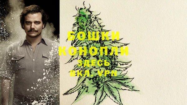 прущие грибы Богородск