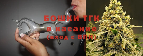 прущие грибы Богородск