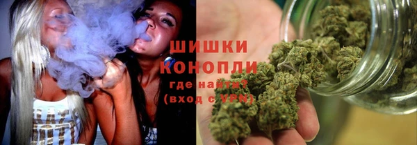 прущие грибы Богородск