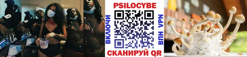Купить где  Удачный  Галлюциногенные грибы Cubensis 